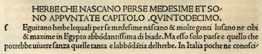 1.Lettere eseguite con i caratteri di Jenson, da una traduzione di Plinio il Vecchio, pubblicato a Venezia nel 1476